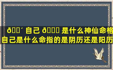 🐴 自己 🐎 是什么神仙命格「自己是什么命指的是阴历还是阳历」